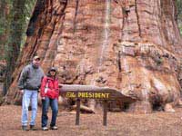 At Sequoia National Park